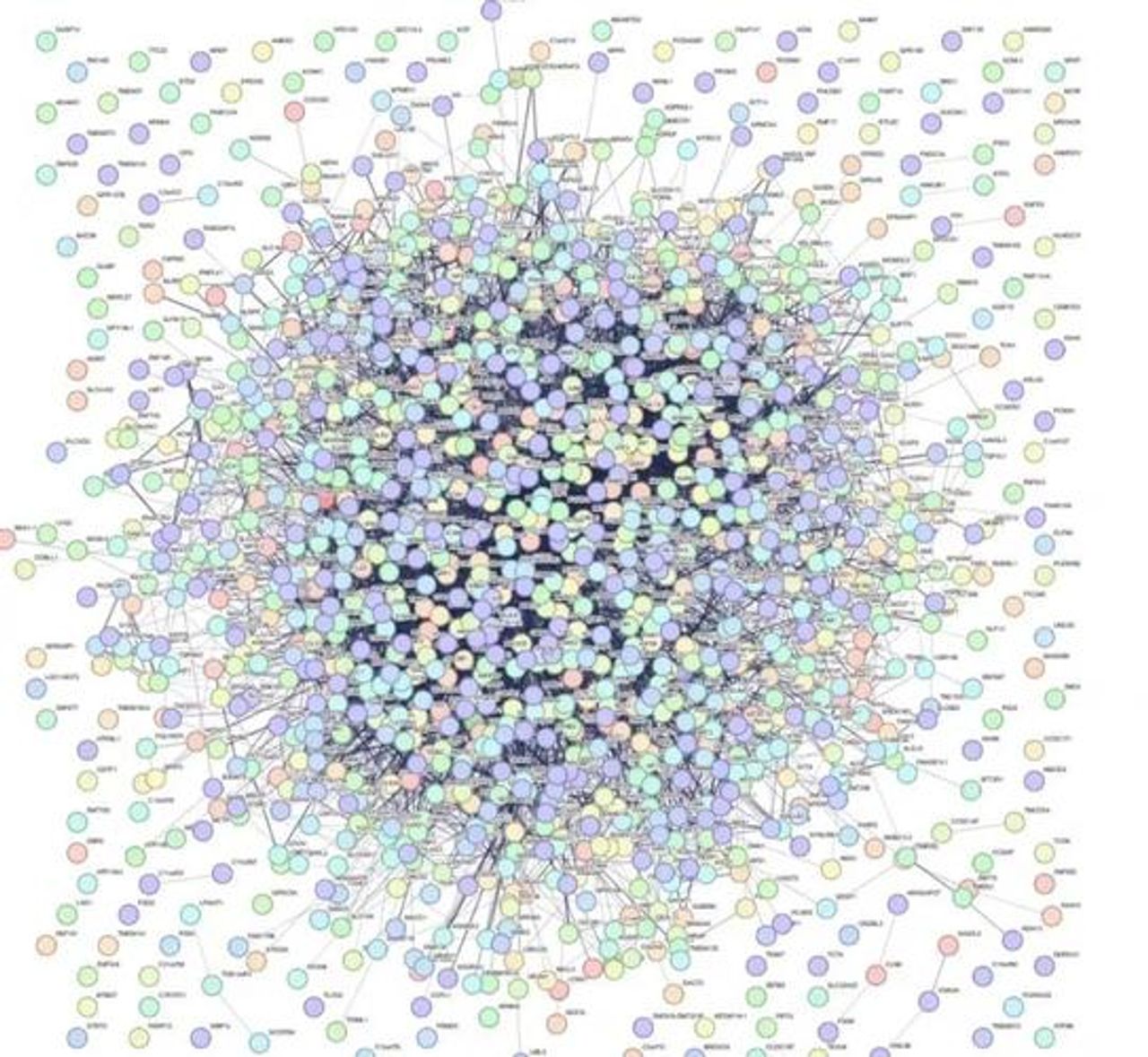 AIディテクターが法廷に:誤検知の代償