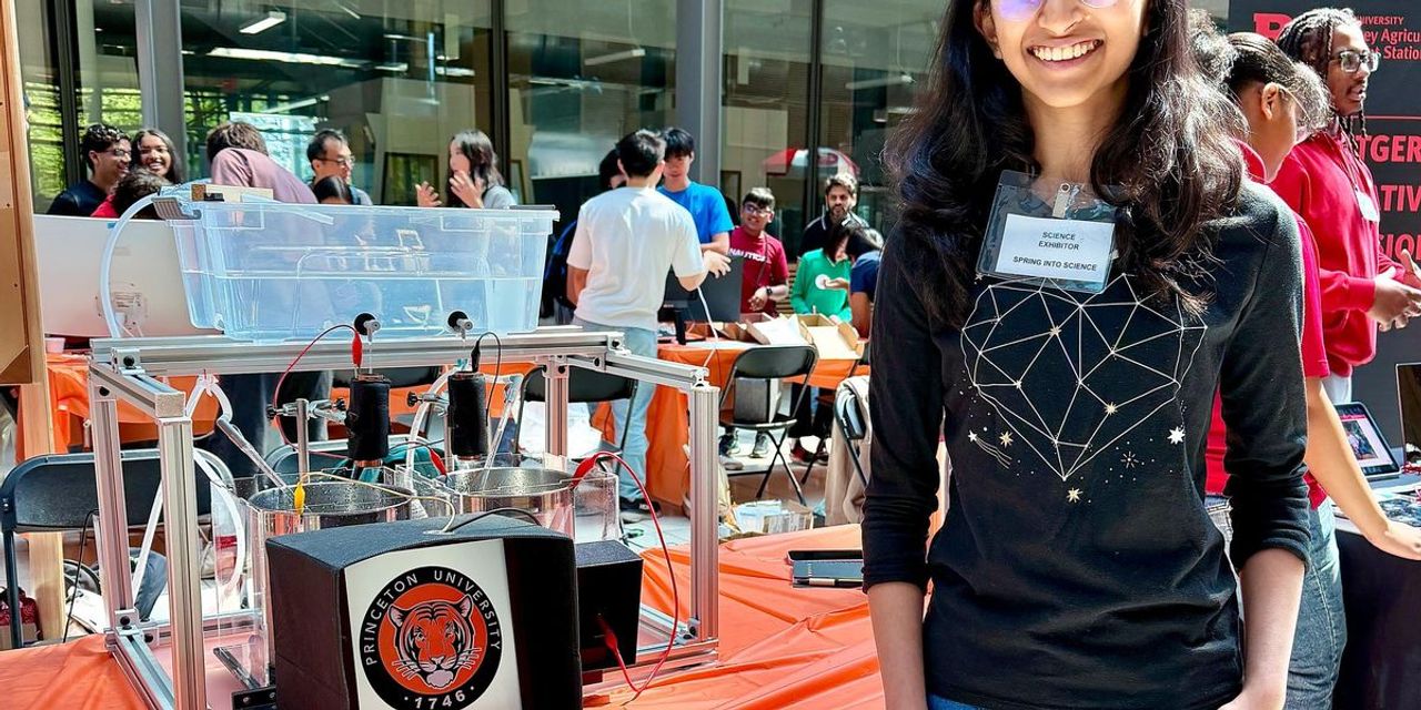 Grassroots STEM Access and Japan's Widening IT Talent Gap